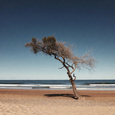 Lonely tree on beach