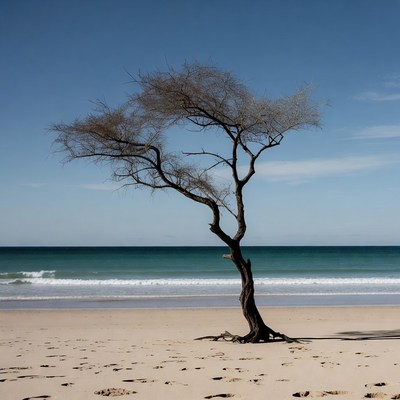 Lonely tree on beach by ocean