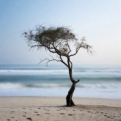 Lonely Tree on Beach by Ocean