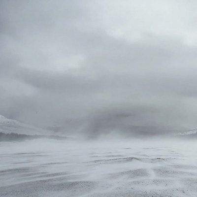Snowy Landscape in Foggy Blizzard