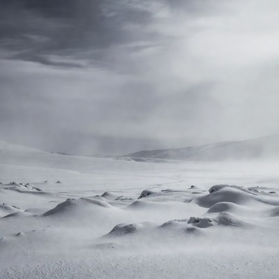 Snowy Landscape with Drifting Snow