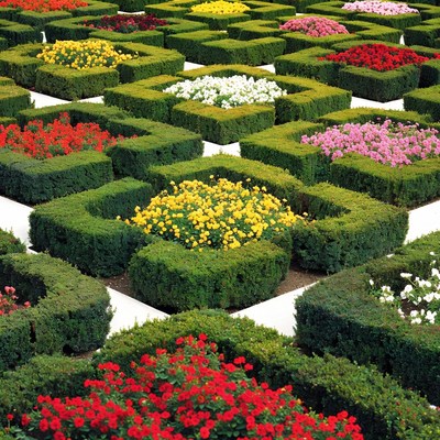 Colorful Flower Garden with Boxwood Hedges