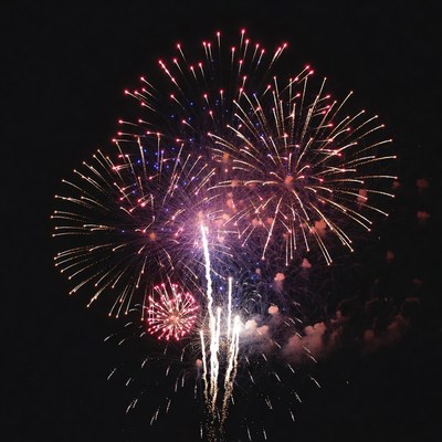 Colorful Fireworks Bursting in Night Sky
