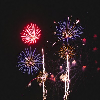 Colorful Fireworks Exploding in Night Sky