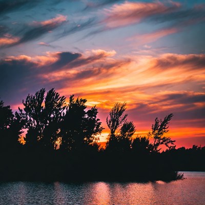 Sunset over trees and lake