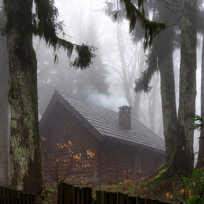 Foggy Log Cabin in Forest