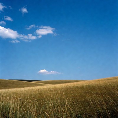 Golden rolling hills under blue sky