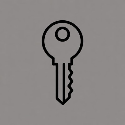 Black outline key icon