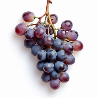 Fresh purple grapes bunch
