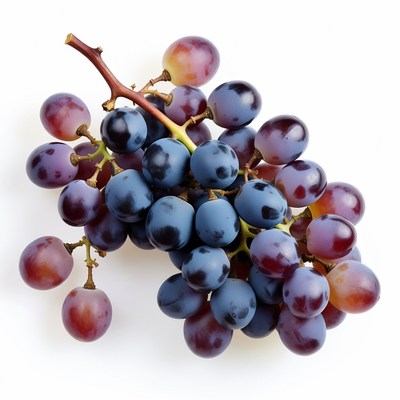 Bunch of Purple Grapes