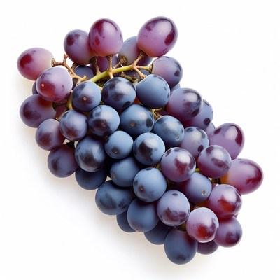 Bunch of Purple Grapes