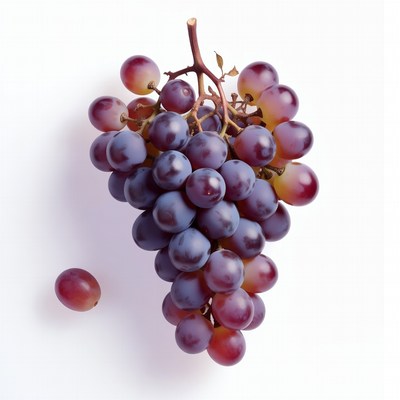 Fresh purple grapes bunch