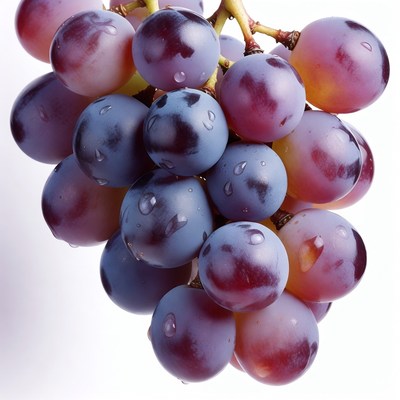 Fresh Purple Grapes with Water Droplets