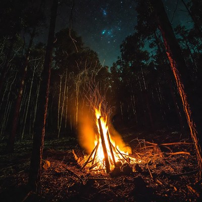 Campfire in starry forest night