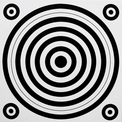 Black and White Bullseye Target