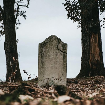 Mossy gravestone among trees