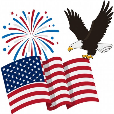 Bald Eagle with American Flag Fireworks