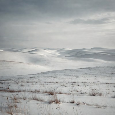 Snowy Hills with Dry Grass