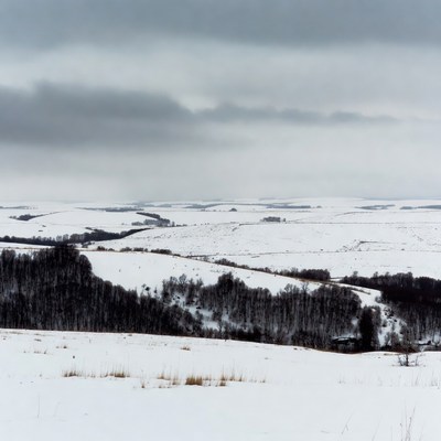Snowy Fields Under Gray Clouds
