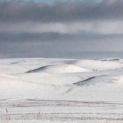 Snowy Rolling Hills Landscape