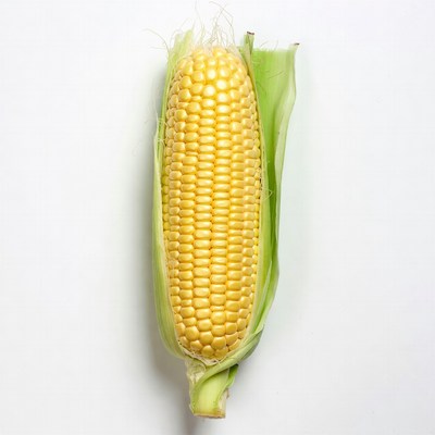 Fresh corn on the cob