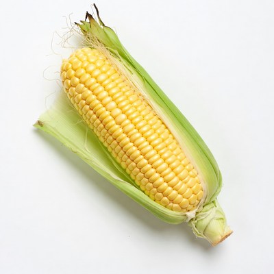 Fresh corn on the cob