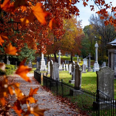 Autumn Cemetery with Fall Foliage