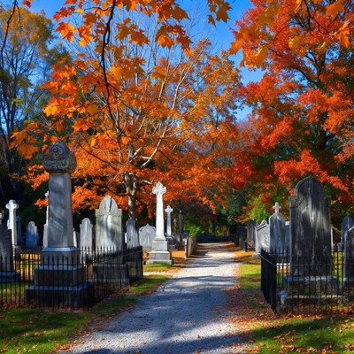 Autumn Cemetery with Gravestones and Path