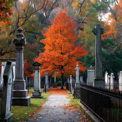 Autumn Tree in Historic Cemetery
