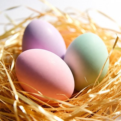 Colorful Easter Eggs in Nest