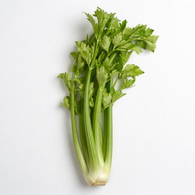 Fresh Celery Stalks on White Background