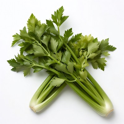 Fresh Celery Stalks on White