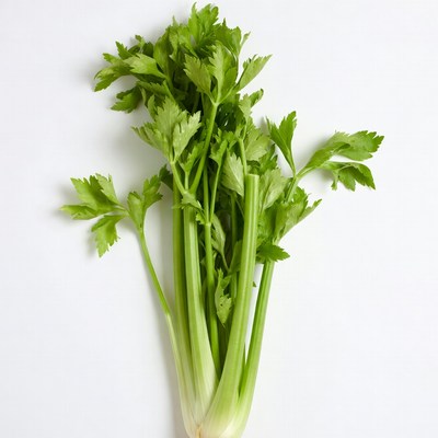 Fresh Celery Bunch