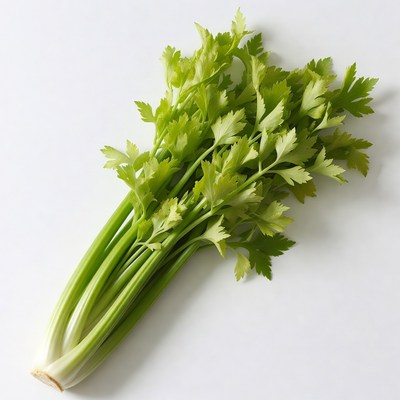 Fresh celery bunch on white