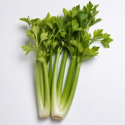 Fresh Celery Stalks on White Background