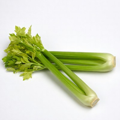 Fresh Celery Stalks on White