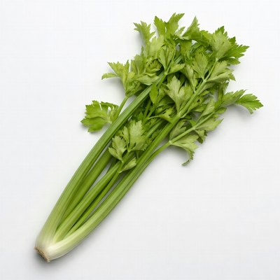 Fresh Celery Stalks on White Background