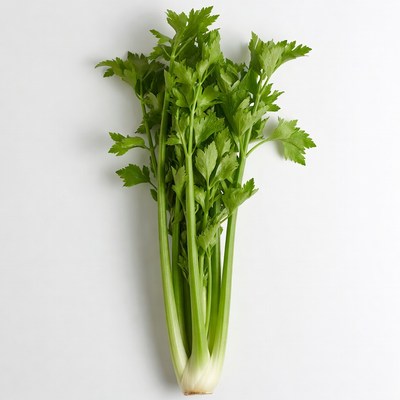 Fresh Celery Stalks on White Background