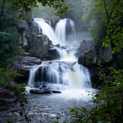 Waterfall cascading in lush green forest