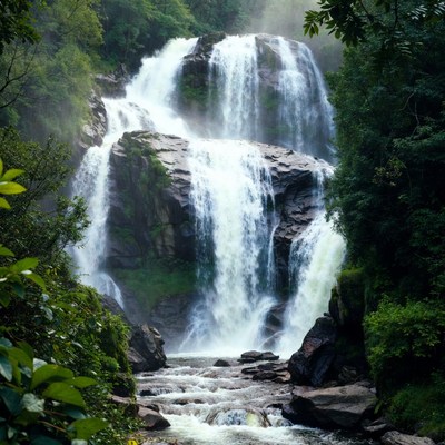 Majestic waterfall cascading in lush forest