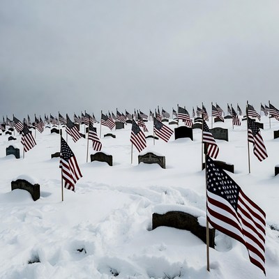 American Flags on Snowy Graves