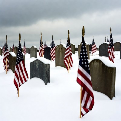 American Flags on Snowy Graves
