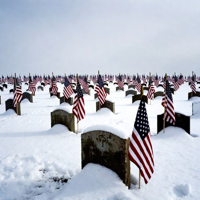 American Flags on Snowy Graves