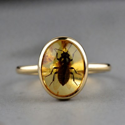 Amber Ring with Insect