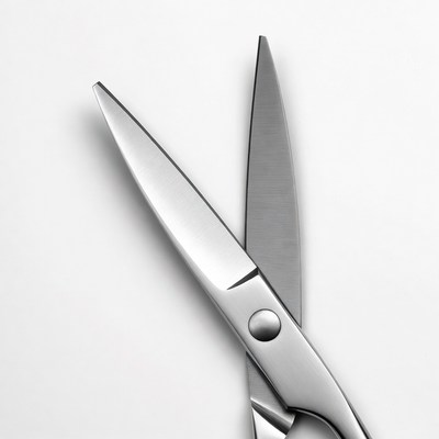 Silver Scissors on White Background