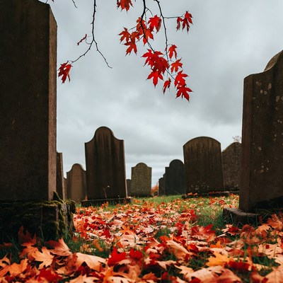 Autumn Cemetery with Red Maple Leaves