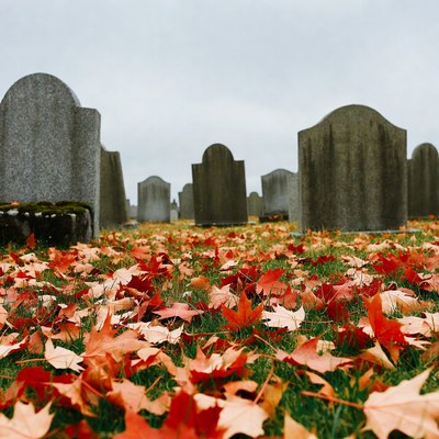 Autumn Leaves in Cemetery