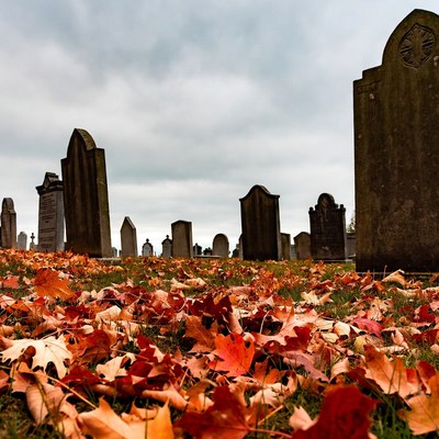 Autumn Leaves in Cemetery