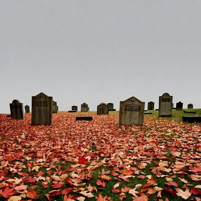 Autumn Leaves Covering Cemetery Gravestones