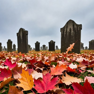 Autumn Leaves Covering Cemetery Gravestones